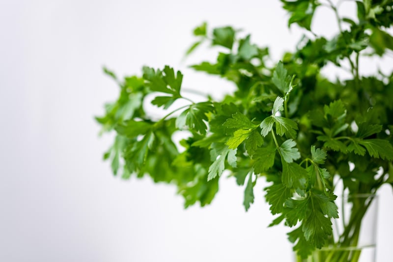 Herb garden inspiration